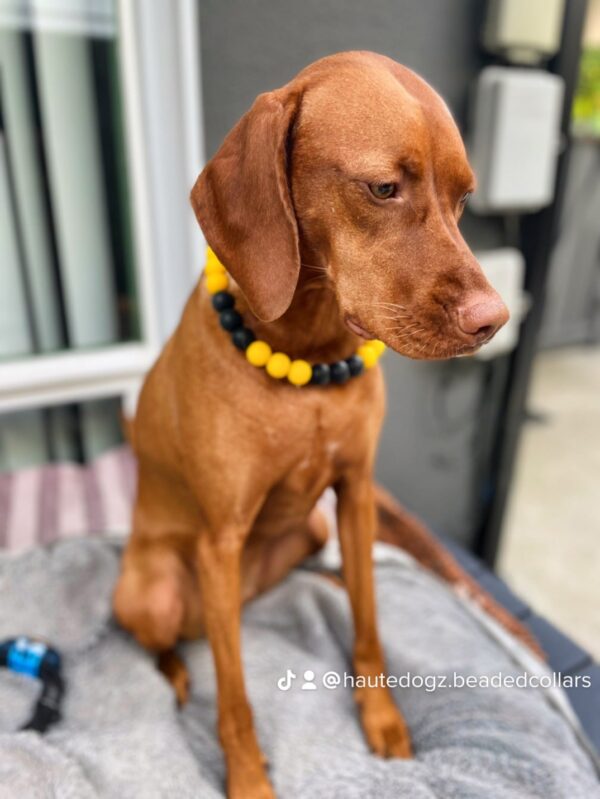 Custom Mini Collar