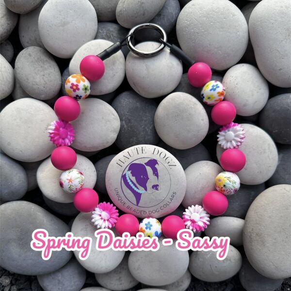 Spring Daisies - A Little Sassy - Beaded Dog Collar
