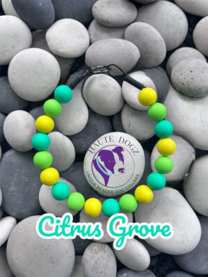 Citrus Grove - Beaded Dog Collar