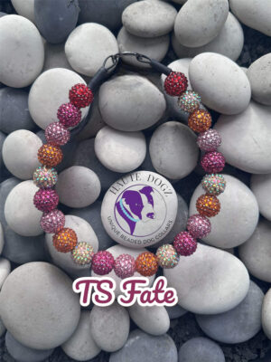 Fate - Beaded Dog Collar