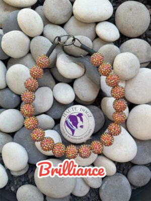 Brilliance - Beaded Dog Collar